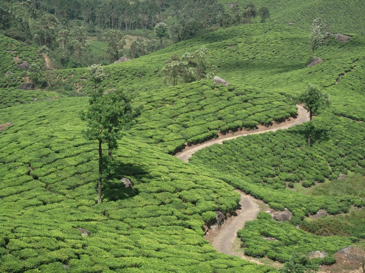 A path which have infinite destination