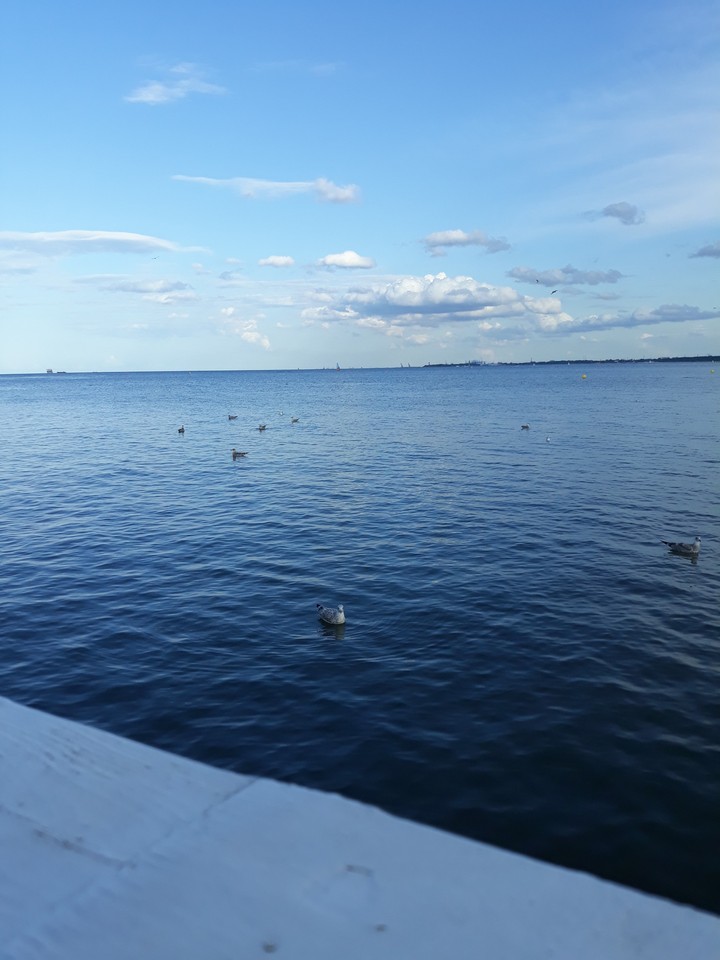 sea