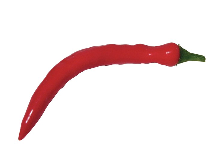 음식이미지