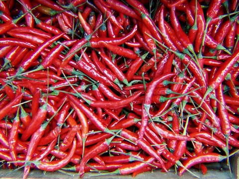 Pepper