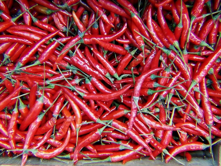 Pepper
