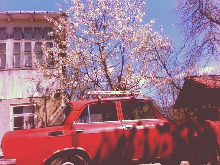 spring