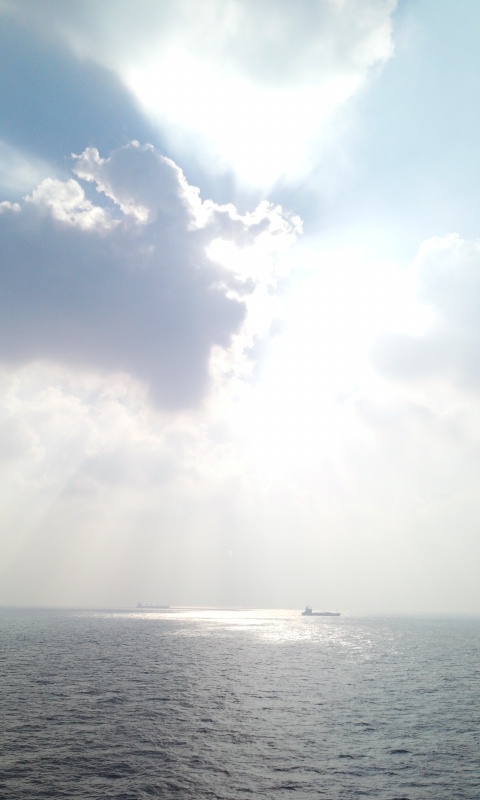 the see