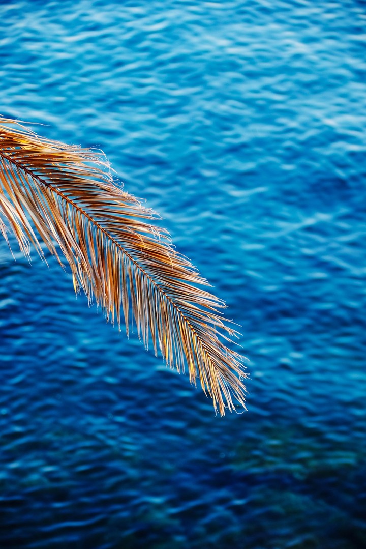 sea