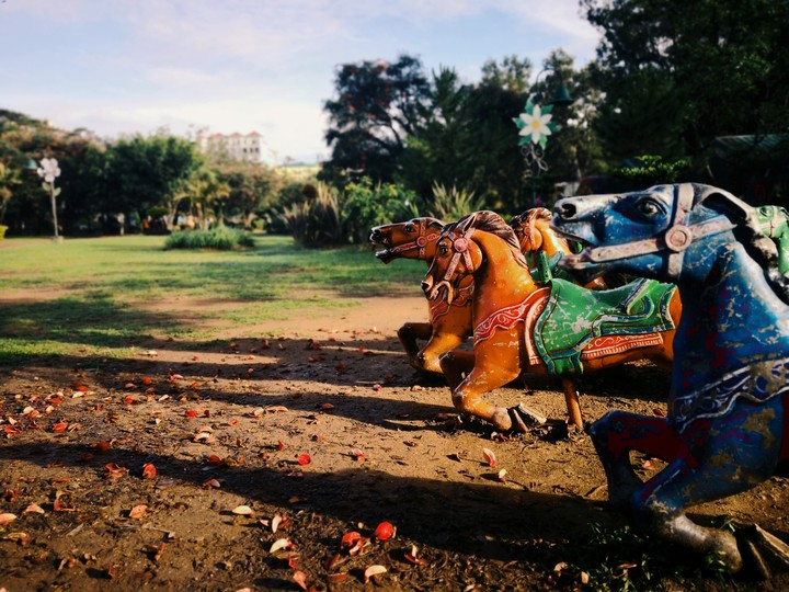 Horse Racing