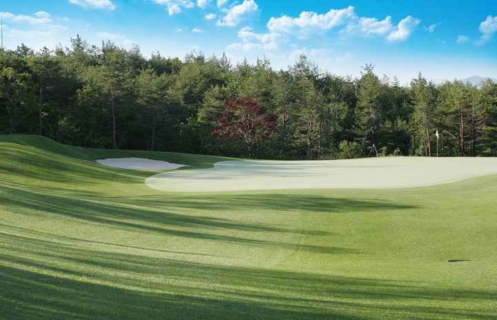 Golf Course