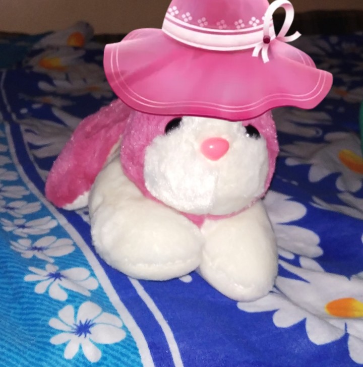rabit