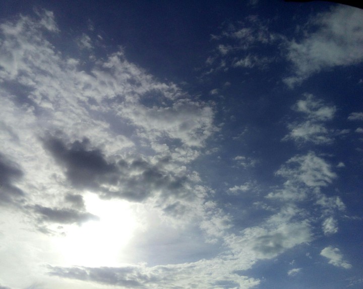 Day 1)January 11-Summer