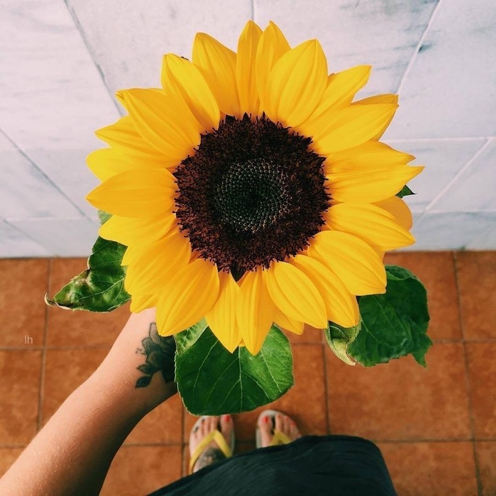 flor