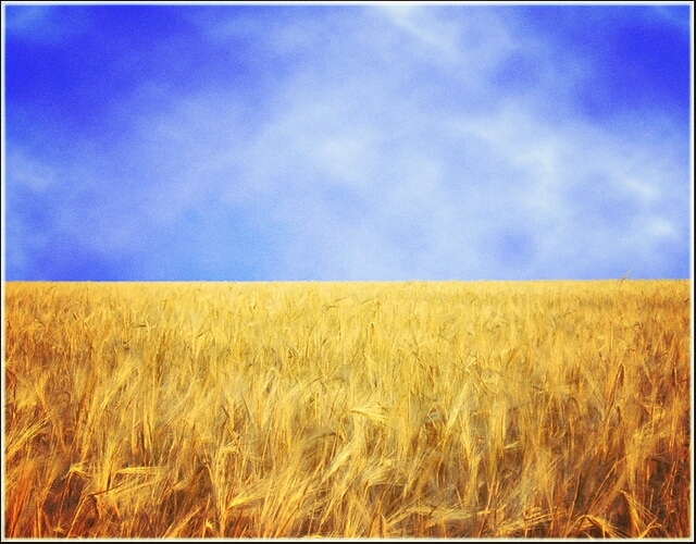 UKRAINE