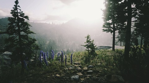 red dead redemption 2 nature