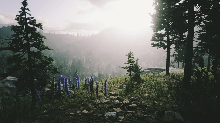 red dead redemption 2 nature