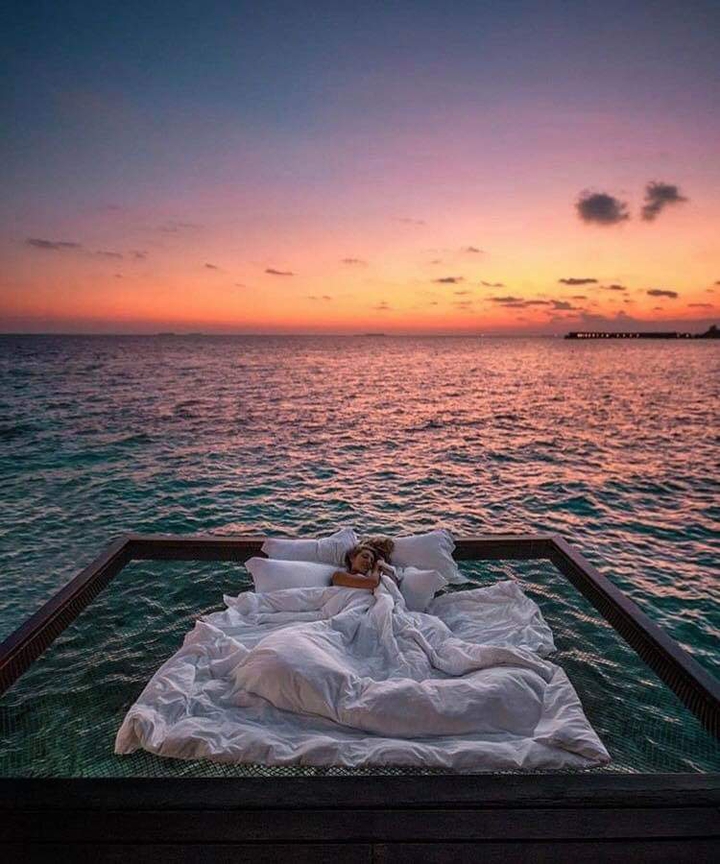 dream