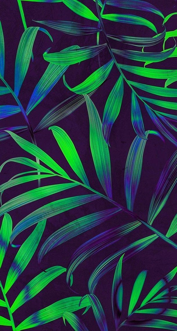 Hawai