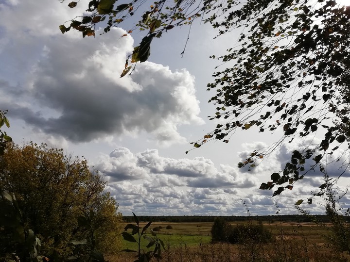 Oh the sky breathed autumn...