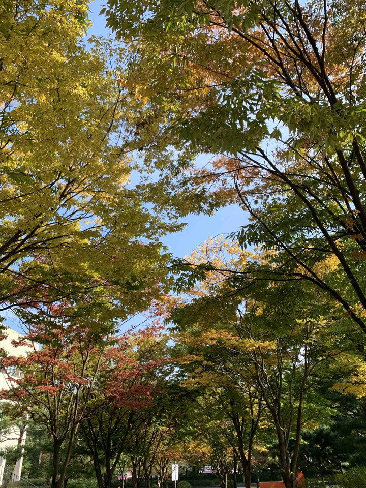 초가을 캠퍼스