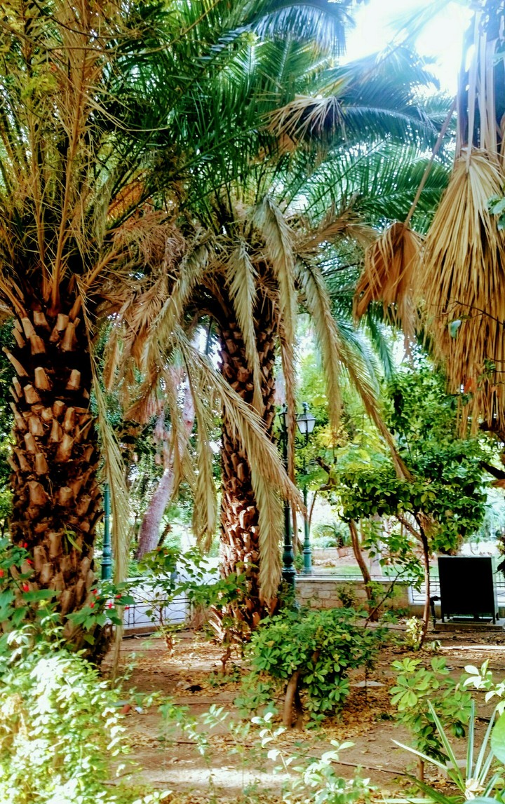 STAMATIOS