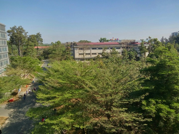 my school