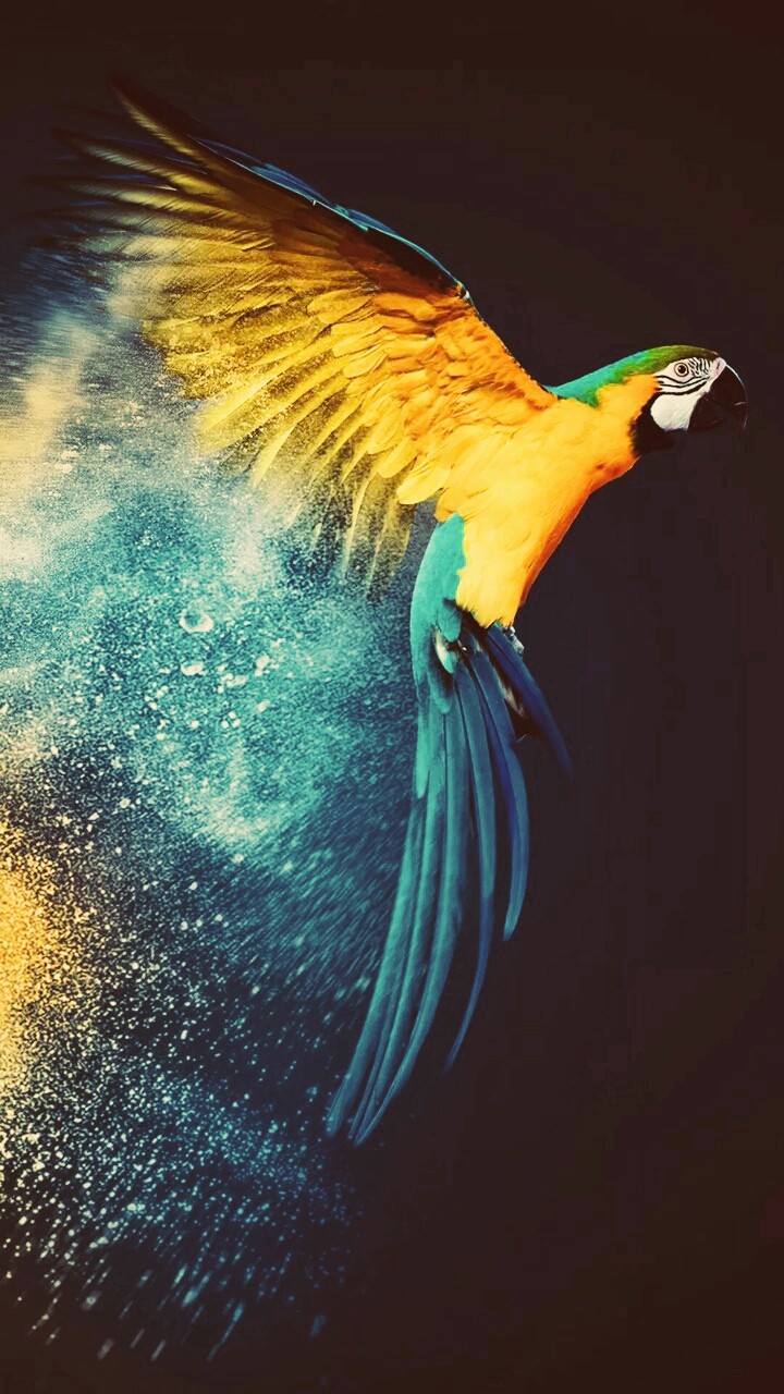 brid