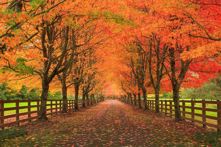 a long way