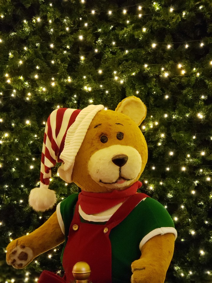 Christmas Time