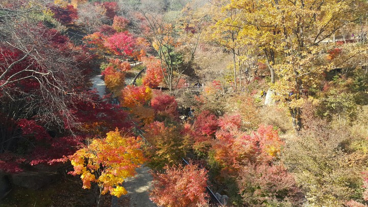 화담숲