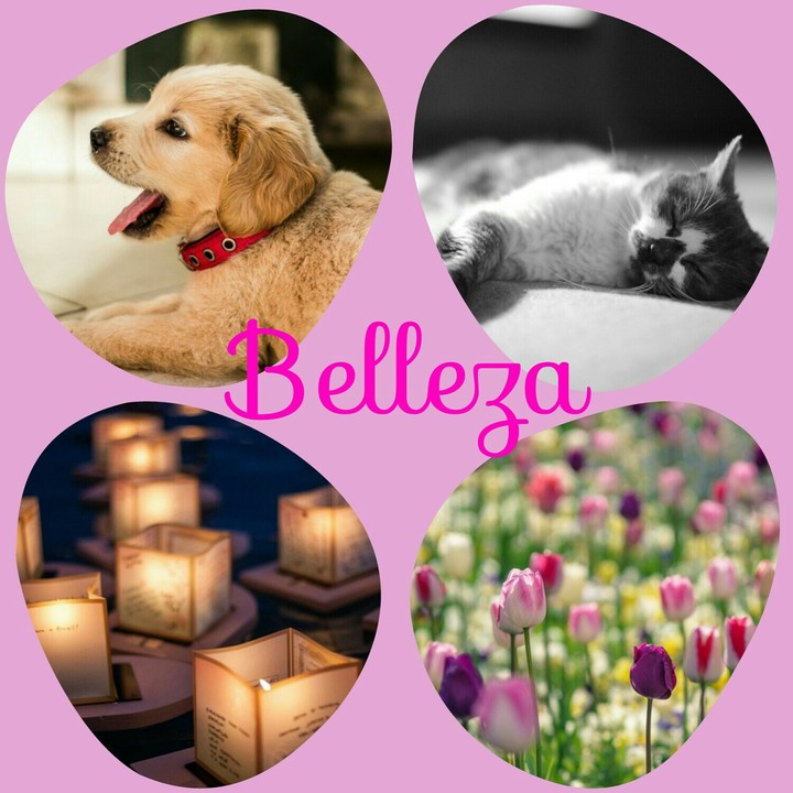 belleza