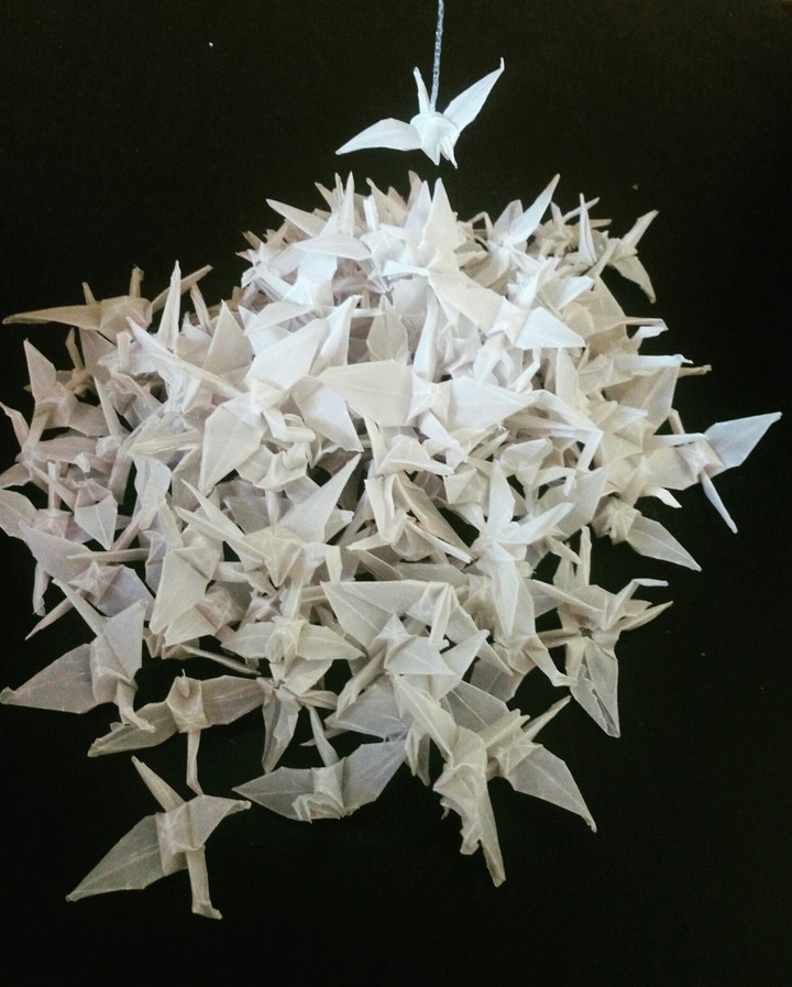 tsurus is a sacred bird of Japan