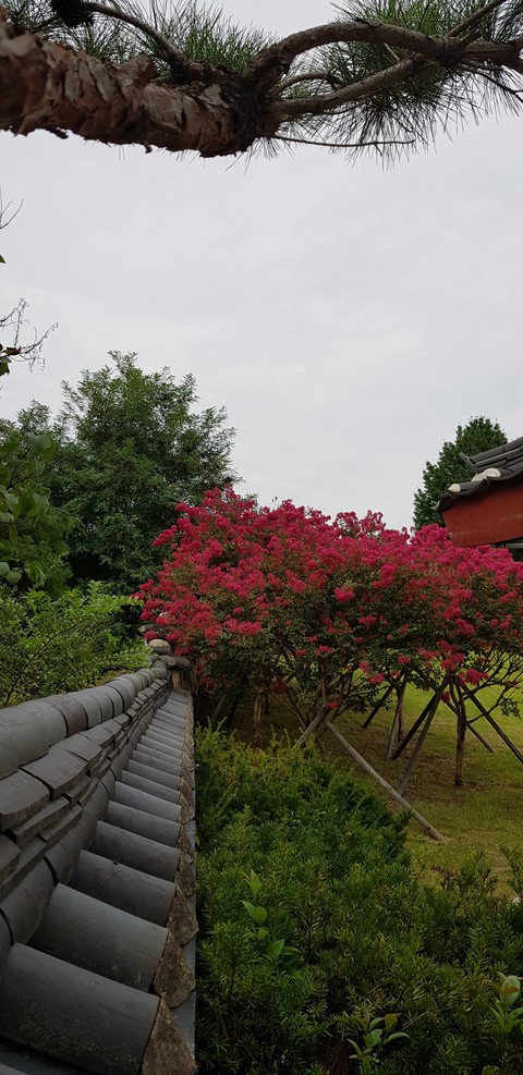 spring, property壁紙