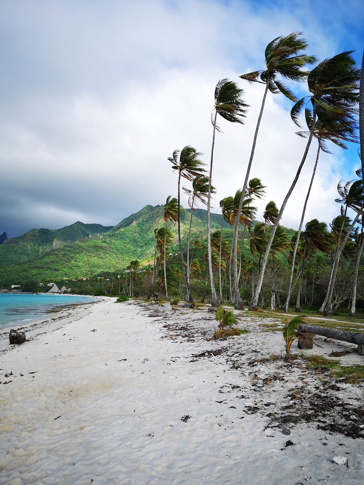 Moorea
