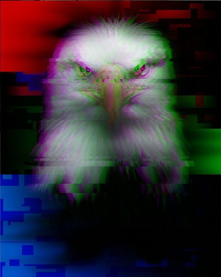 glitch eagle