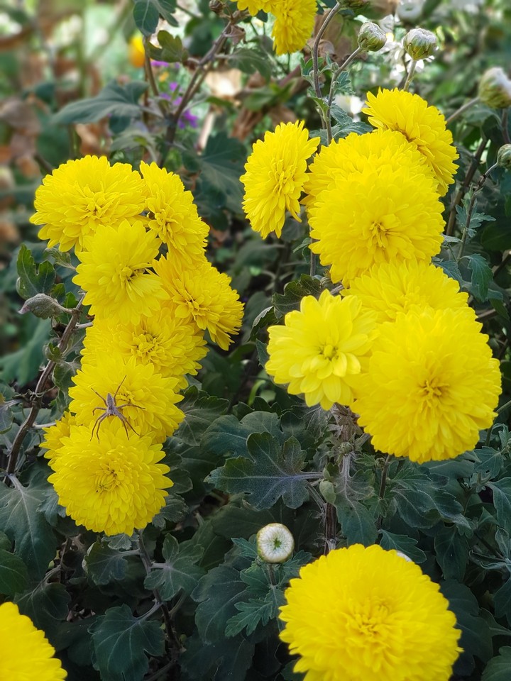 природа