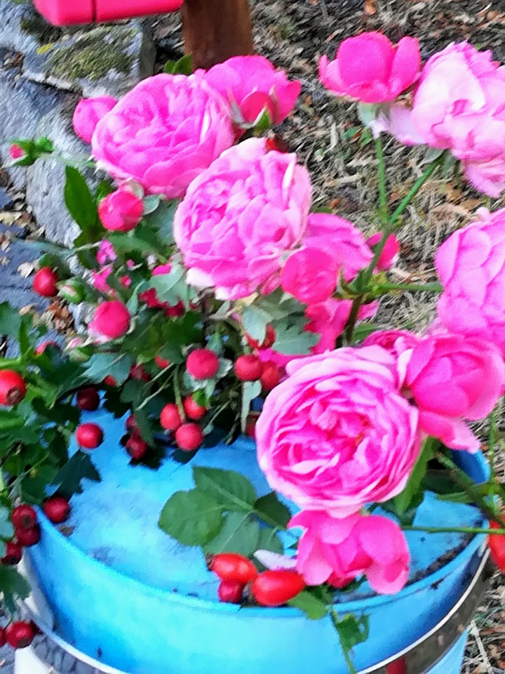 flowers