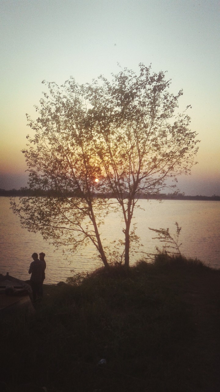 It's all about Nature Sunset