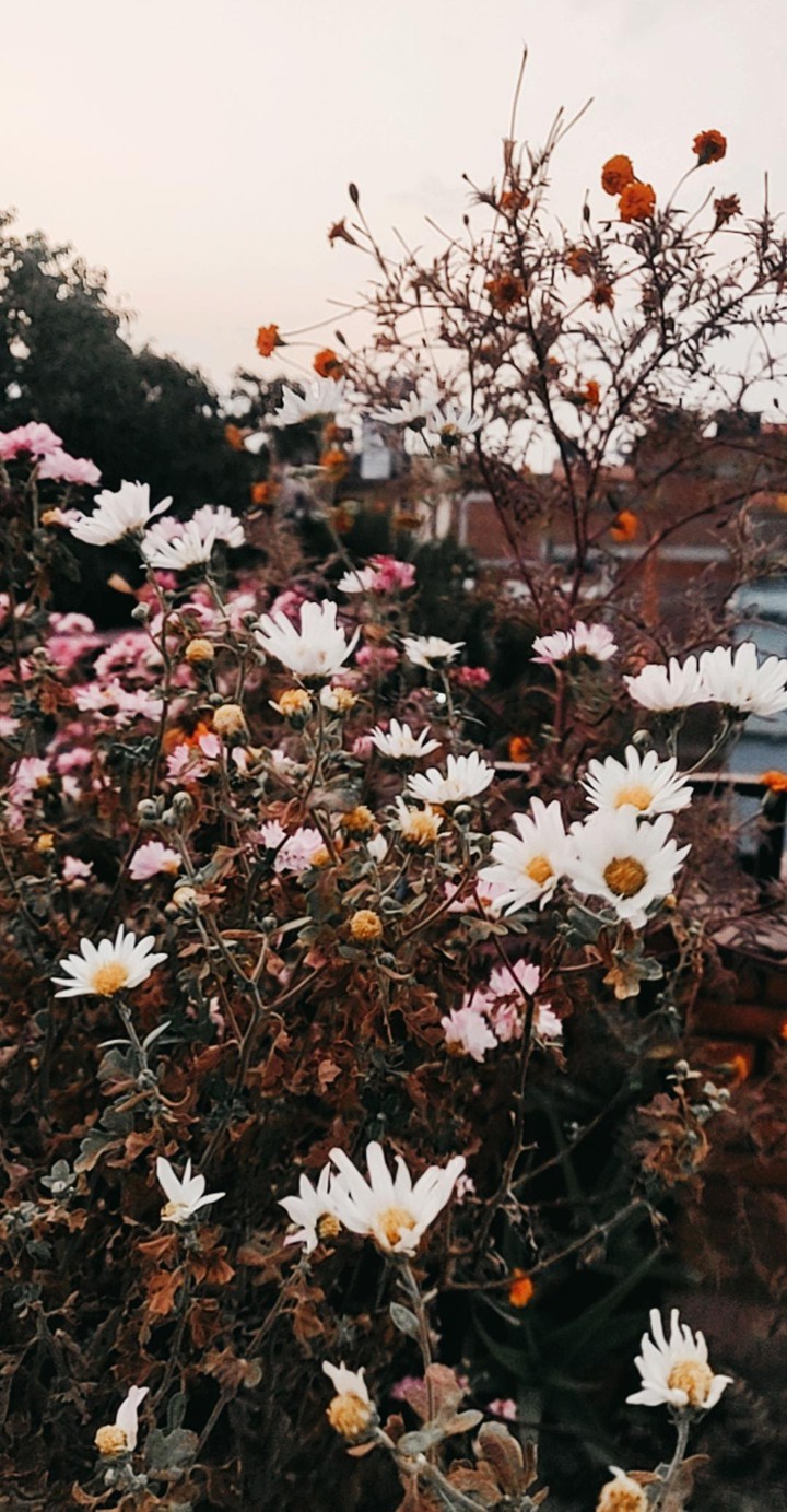No winter lasts forever, no spring skips its turn.
