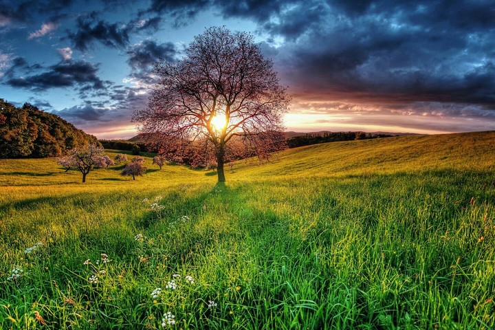 Sunset