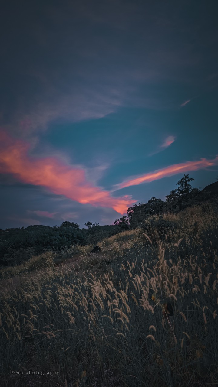 nature