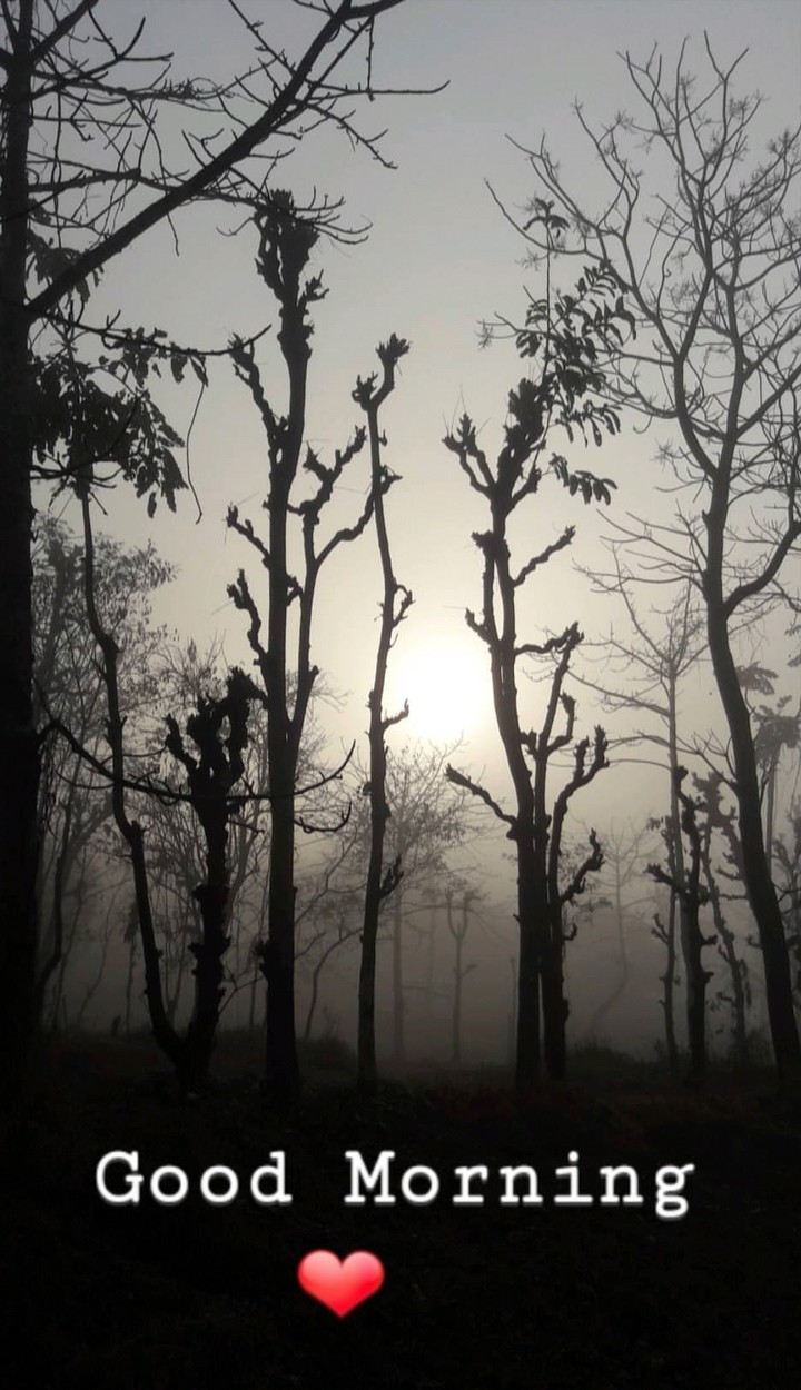 Early Morning foggy view at my native place