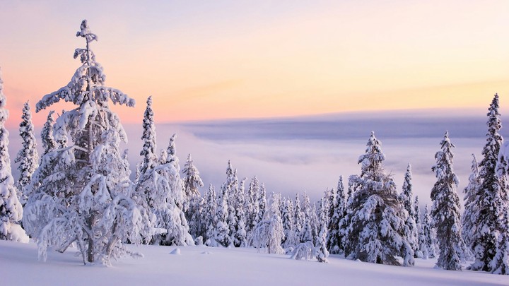 Winter sunset