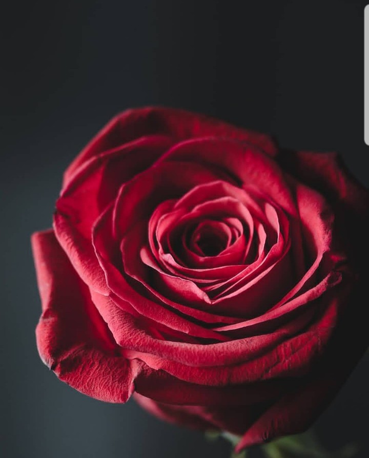 beautiful...