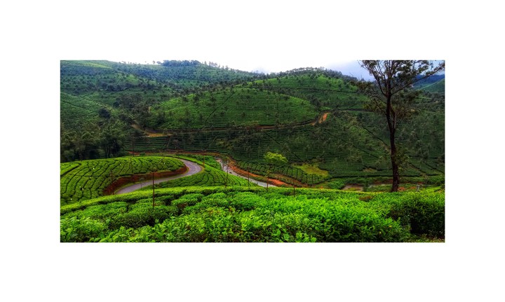 #munnar
