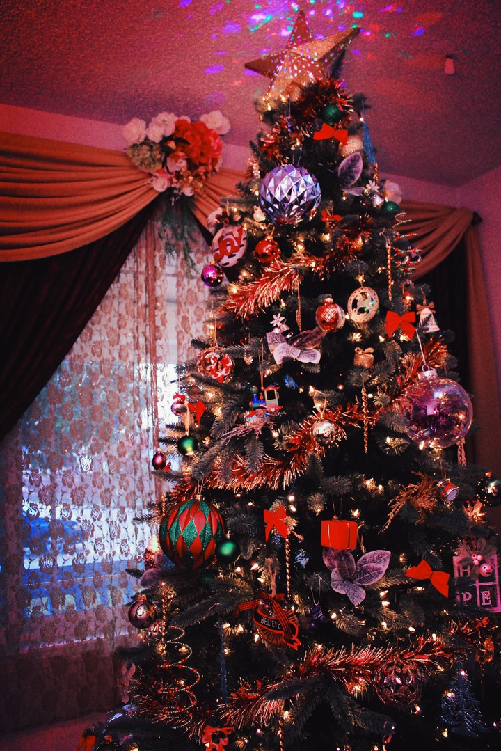 My 2019 Christmas Tree I love!