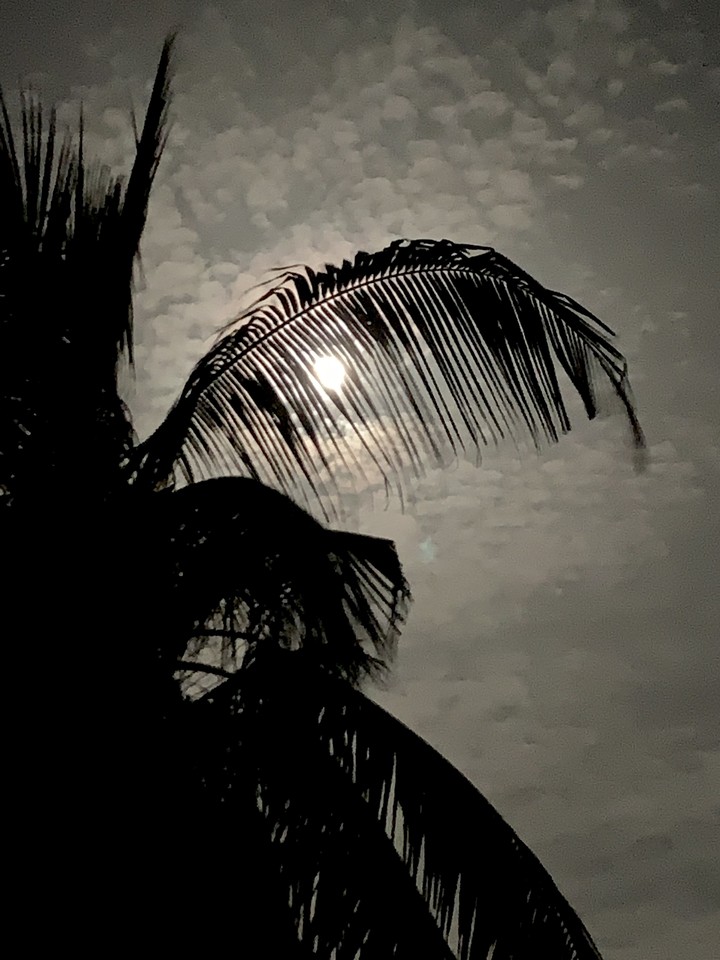 moon
