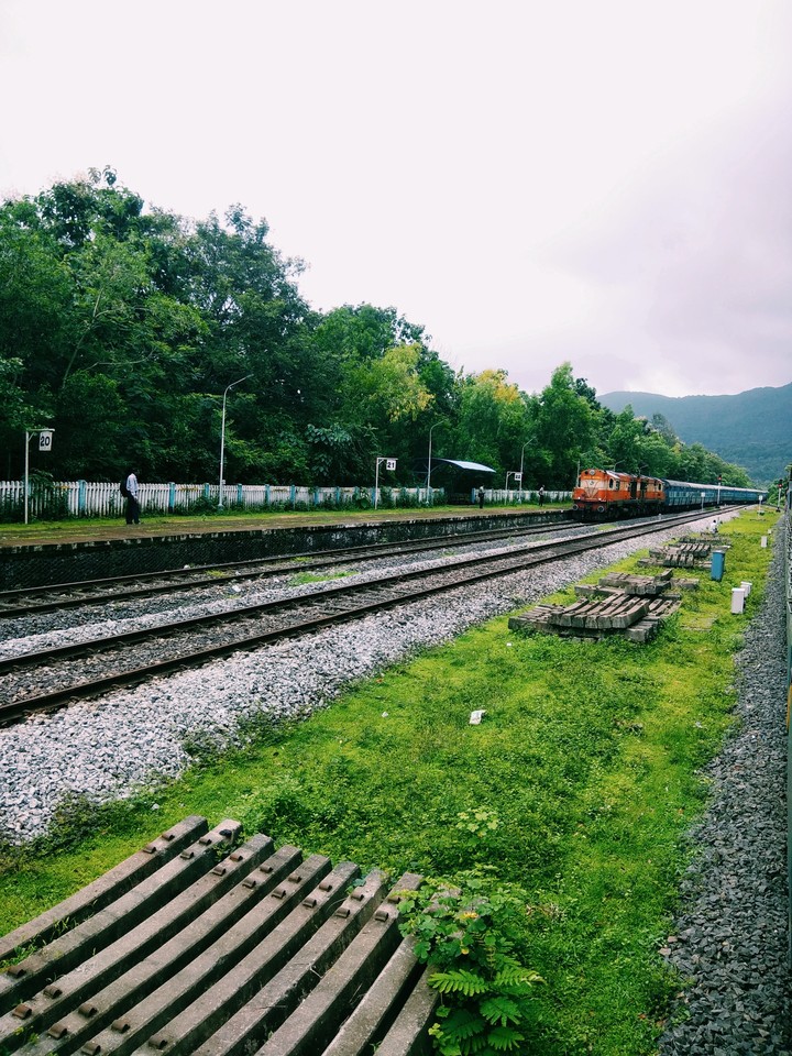 train in the forest