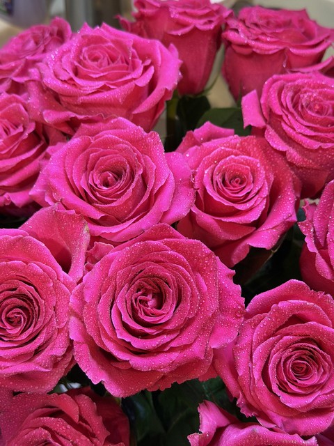 רקעים flower, purple