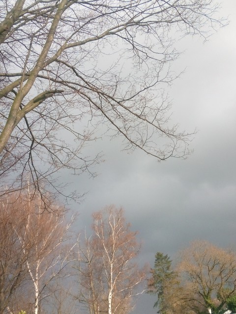 Frühling