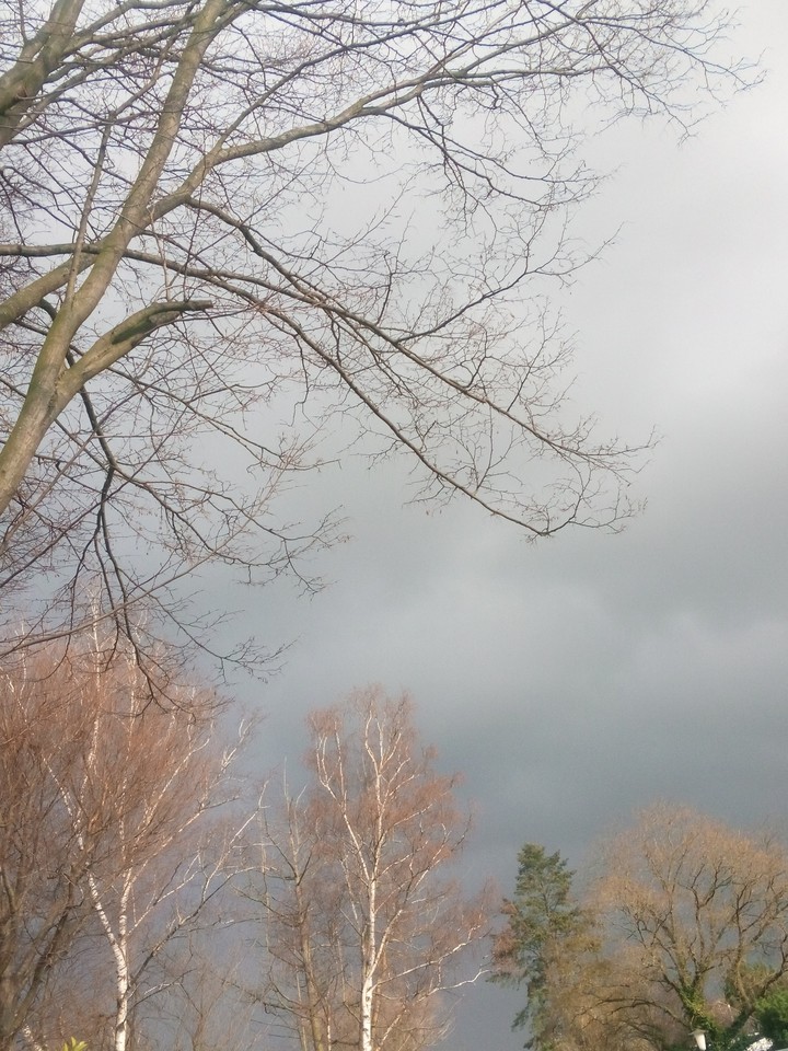 Frühling