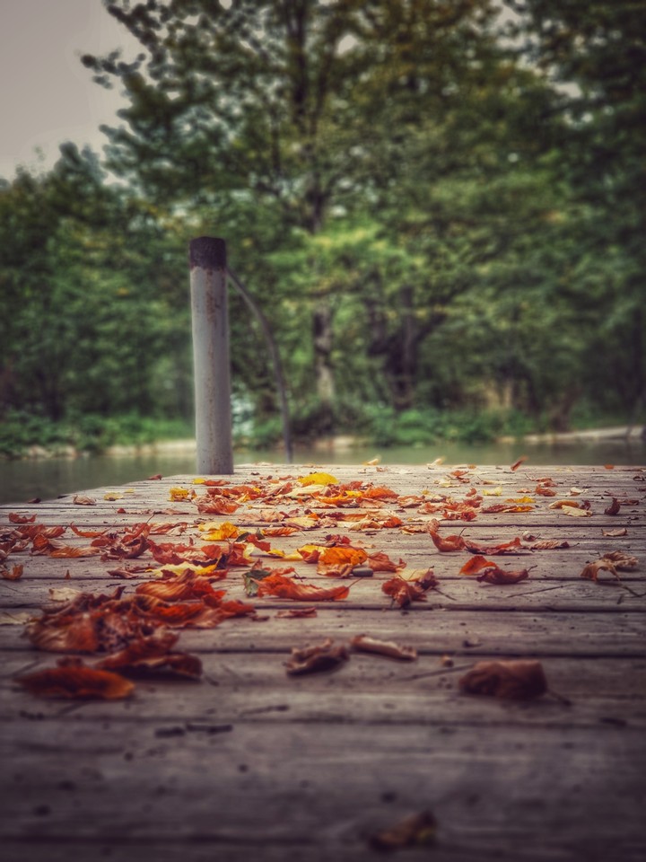 Autumn nature