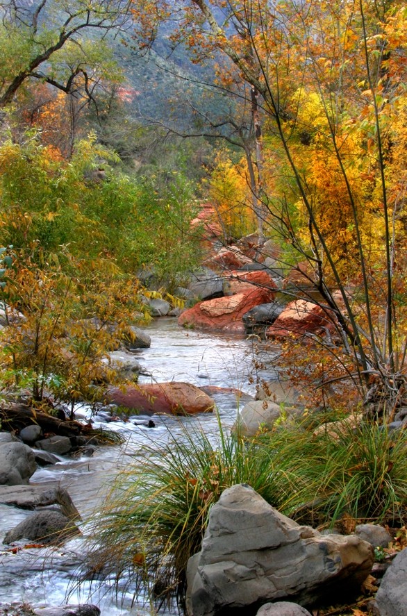 oak Creek az