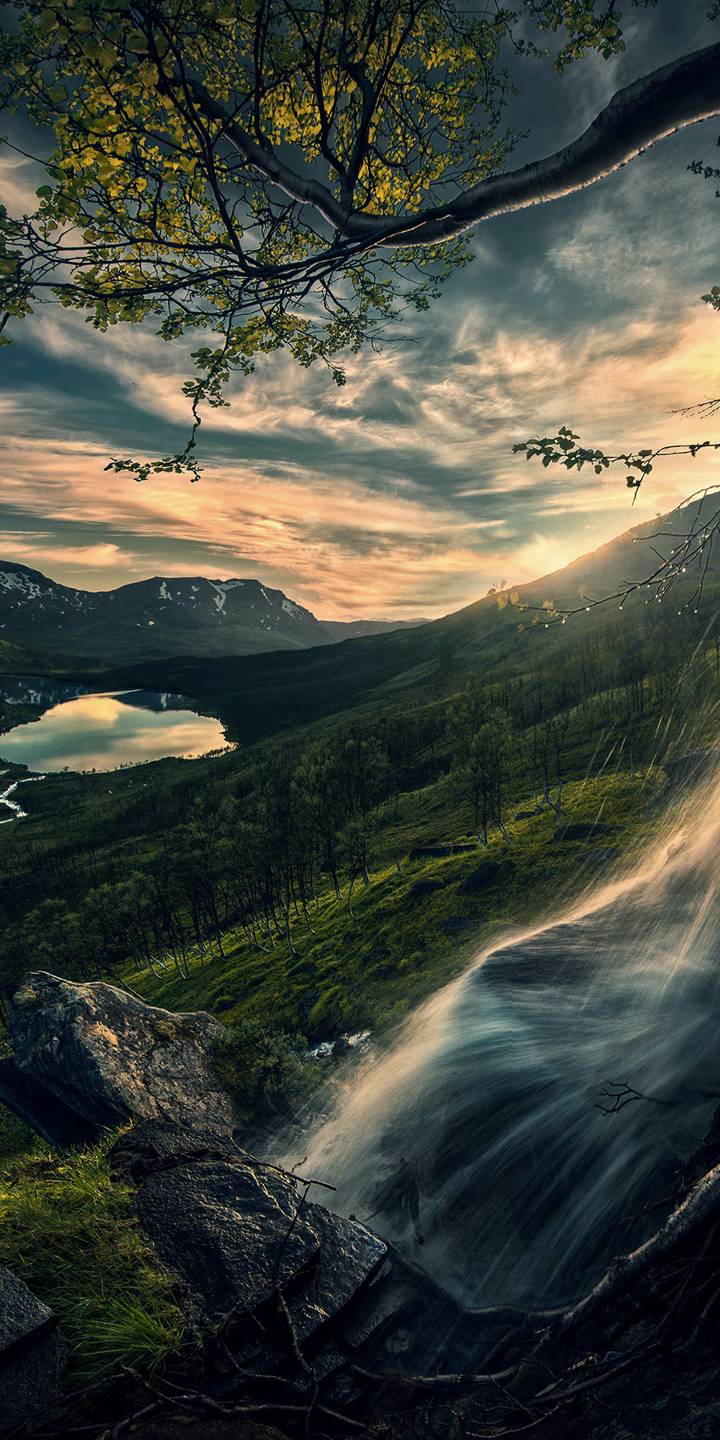 mobile wallpaper